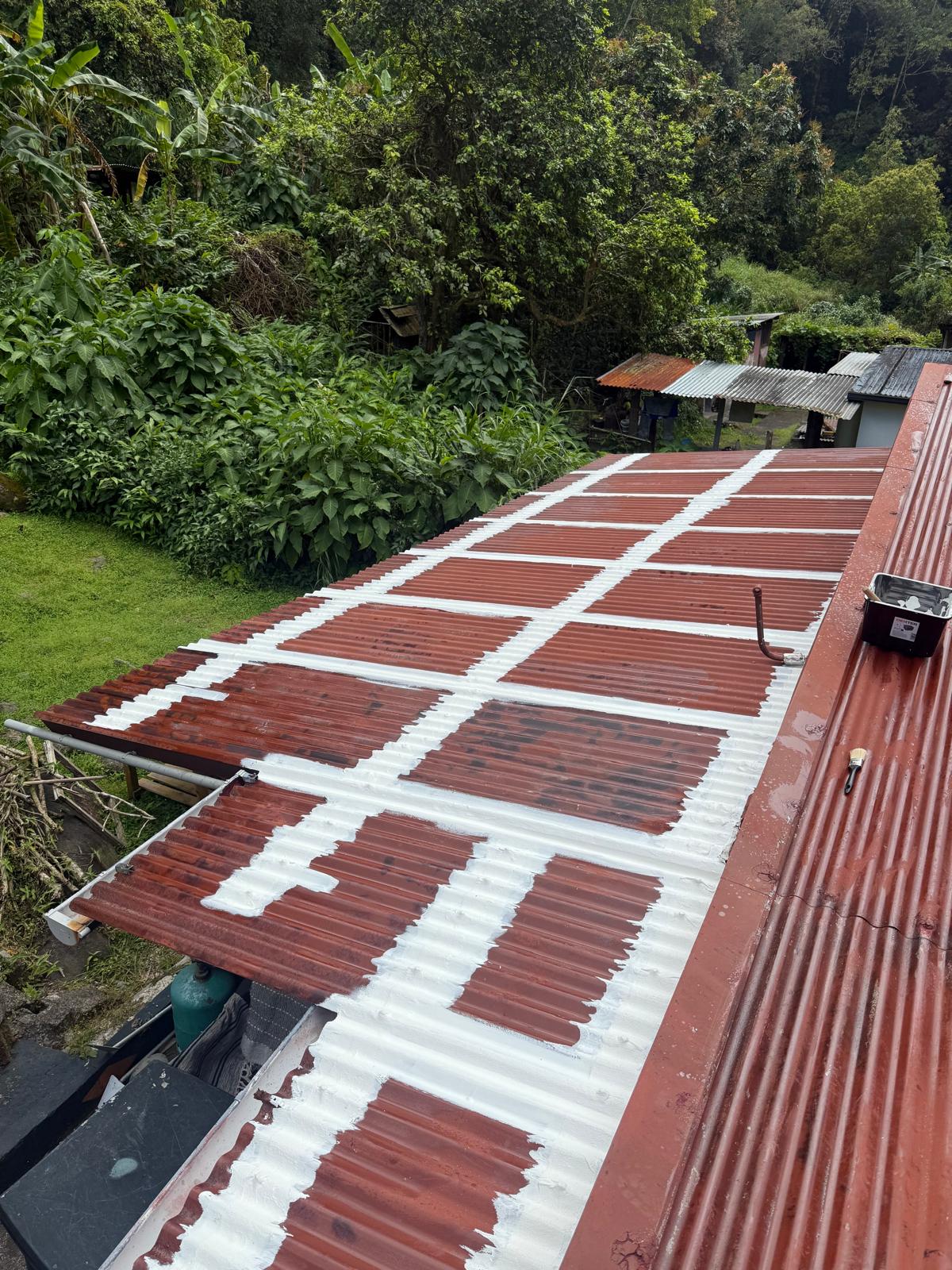 nettoyage dalle de piscine Réunion